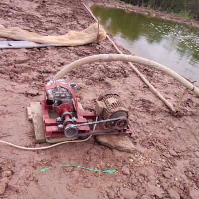 Ngưỡng chịu đựng của ao tôm