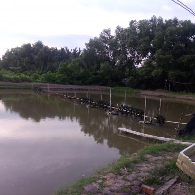 Nâng cao chất lượng môi trường nước